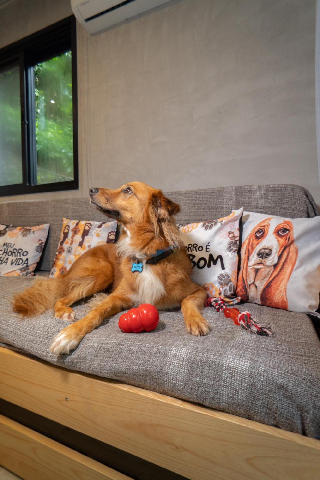 Apartment Bom Pra Cachorro Morro de Sao Paulo